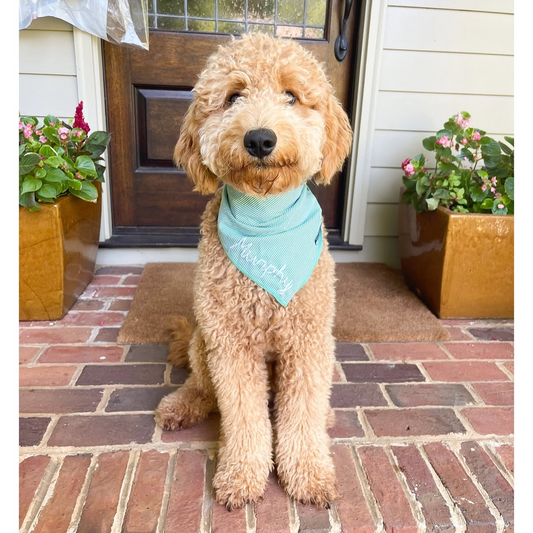 Customized Dog Bandanas with Name Embroidery